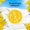 Płyn do płukania LENOR Sicilia 987 ml Liczba prań 47
