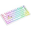 Klawiatura SAVIO Phenix White Gateron Yellow Pudding Typ klawiatury Mechaniczna
