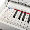 Pianino cyfrowe V-TONE DP-88 WH Biały Efekty Sustain