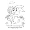 Kolorowanka Wielkanocne pisanki (miękka okładka) Przedział wiekowy 6+