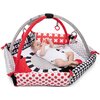 Mata edukacyjna CANPOL BABIES Sensory Toys 68/077 Funkcje rozwojowe Sprawność manualna