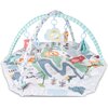 Mata edukacyjna CANPOL BABIES Safari 81/100 Rodzaj Mata edukacyjna