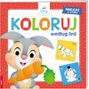 Kolorowanka Disney Maluch Koloruj według linii (miękka okładka)