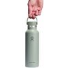 Butelka termiczna HYDRO FLASK Standard Flex Cap Miętowo-szary Możliwość mycia w zmywarce Tak