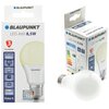 Żarówka LED BLAUPUNKT WW 8.5W E27 Rodzaj Żarówka LED