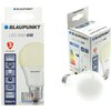 Żarówka LED BLAUPUNKT WW 6W E27 Rodzaj Żarówka LED