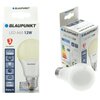 Żarówka LED BLAUPUNKT WW 12W E27 Rodzaj Żarówka LED