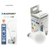 Żarówka LED BLAUPUNKT NW 12W E27 Rodzaj Żarówka LED