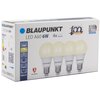 Żarówka LED BLAUPUNKT WW 6W E27 (4 szt.) Rodzaj Żarówka LED