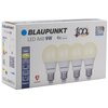 Żarówka LED BLAUPUNKT WW 9W E27 (4 szt.) Rodzaj Żarówka LED