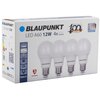 Żarówka LED BLAUPUNKT NW 12W E27 (4 szt.) Rodzaj Żarówka LED