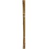 Podpora PROGARDEN Bambus (60 cm) Wymiary [mm] 12 x 600