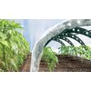 Szklarnia PROSPERPLAST Floo 759845 360 x 57 x 30 cm Zielony Wymiary [mm] 3600 x 570 x 300