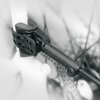 Błotniki rowerowe SKS Veloflexx 55 11665 Rodzaj Przód