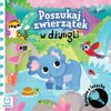 Książka Poszukaj zwierzątek w dżungli z latarką Grażyna Wasilewicz (twarda okładka)