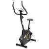 Rower magnetyczny HERTZ FITNESS Draco Rodzaj roweru Pionowy