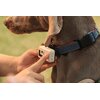 Lokalizator GPS dla psa i kota ENABOT Rola PetTracker Granatowy Nazwa .