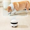 Robot monitorujący dla zwierząt ENABOT Rola Mini Przeznaczenie Dla psa