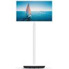 Telewizor THOMSON 32HA4M44 32" LED Android TV