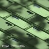 Etui ETTERI Silicone Case do Samsung Galaxy S25 Jasnozielony Typ Etui nakładka