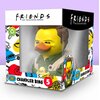 Figurka TUBBZ Friends - Chandler Bing Załączona dokumentacja Instrukcja obsługi w języku polskim