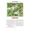 Komiks Asteriks u Brytów Tom 8 Język wydania Polski