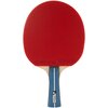 Paletka do ping ponga JOOLA Team Premium Sport Ping pong