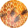 Zakrętka BROWIN 136353 Miód 6.6 cm (10 sztuk)
