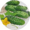 Zakrętka BROWIN 136813 Ogórki 10 cm (10 sztuk) Kolor Wielokolorowy