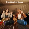 Głośnik mobilny TRONSMART Mirtune S100 Czarny Złącza AUX