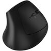 Mysz CANYON MW-25 LED Czarny Typ myszy Optyczna
