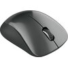 Mysz CANYON MW-11 Czarny Komunikacja z komputerem Bezprzewodowa