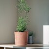 Donica PROSPERPLAST Tubo P Beton Effect (17.8 x 17.5 cm) Szary Materiał Tworzywo sztuczne