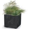 Donica PROSPERPLAST Sierra Square Beton Effect DSI400E Czarny Materiał Tworzywo sztuczne