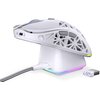 Mysz ENDORFY LIV Plus Wireless Biały Typ myszy Optyczna