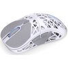 Mysz ENDORFY LIV Plus Wireless Biały Komunikacja z komputerem Bezprzewodowa