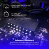 Mysz ENDORFY Liv Wireless Czarny Dotykowa Nie