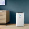Osuszacz powietrza PHILIPS DE3306/11 Typ Kondensacyjny