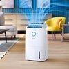 Osuszacz powietrza PHILIPS DE5305/11 Wyposażenie 2 x filtr HEPA