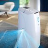 Osuszacz powietrza PHILIPS DE5305/11 Moc [W] 245