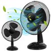 Wentylator GOCKOWIAK Frio Czarny Liczba poziomów mocy 3