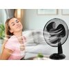 Wentylator GOCKOWIAK Frio Czarny Rodzaj Wentylator biurkowy