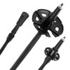 Kijki trekkingowe NILS TK8603 (38.5 - 135 cm) Czarny Rodzaj Kijki trekkingowe