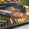 Grill gazowy WEBER Spirit EP-425 1500953 10.3 kW 62 x 46 cm Kółka Tak