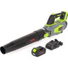 Dmuchawa do liści akumulatorowa NAC 20V BB20-B40-S Aku 4.0Ah