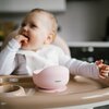 Miseczka BABYONO 1481/02 Różowy Liczba elementów [szt] 1