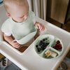 Talerz BABYONO 1482/03 Zielony Kolor Zielony