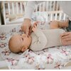 Szczoteczka do zębów BABYONO 1545 (2 sztuki) Kolor Przezroczysty
