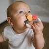 Grzechotka BABYONO z gryzakiem 1595 Kolor Wielokolorowy
