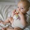 Grzechotka BABYONO z dźwiękiem 1588 Kolor Wielokolorowy
